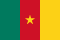 Cameroon flag