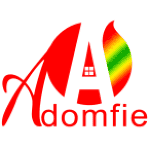 Akosua Apedwa Radio & Adom Fie