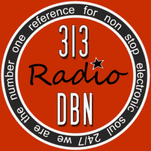 313 DBN Radio