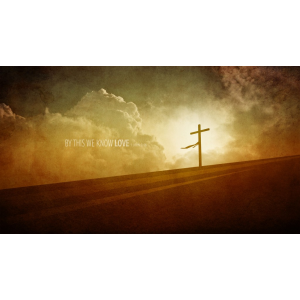 The Sanctuary Station