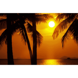 Radio Art - Chillout & Tropical