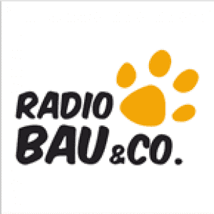 Radio Bau & Co.