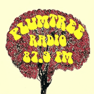 Plumtree Radio