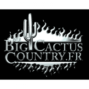 Big Cactus Country