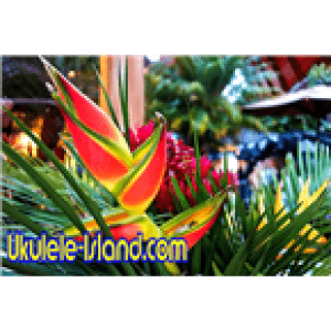 Aloha Joe's Ukulele Island