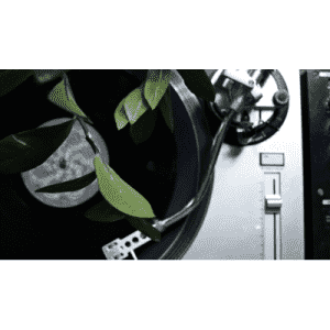 122 India Street Radio