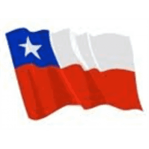 Busologos Chilenos On Line