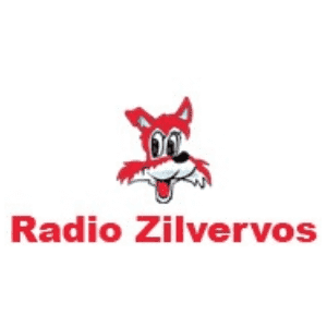Radio Zilvervos