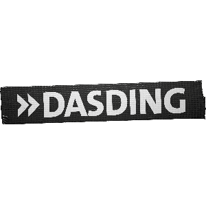 SWR DasDing Sprechstunde