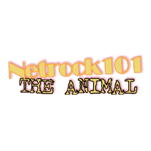 Netrock101