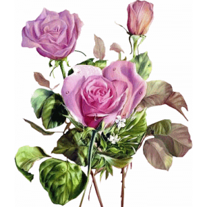 Musikgartenradio der Garten der Musik