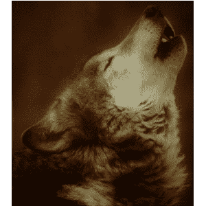 Big Dog College FM Radio