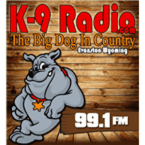 99.1 KNYN THE BIG DOG