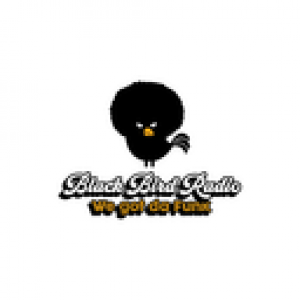 Radio Black Bird