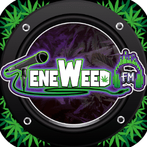Teneweed FM