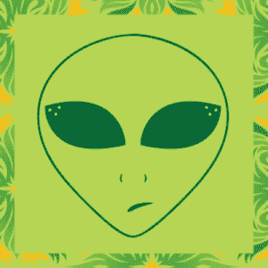 Ambi Nature Radio (Sleep, Relaxation & Meditation)