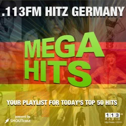 .113FM Hitz Germany