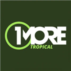 1MORE Tropical
