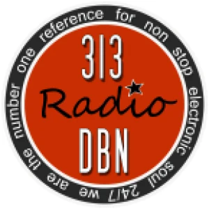 313 DBN Radio