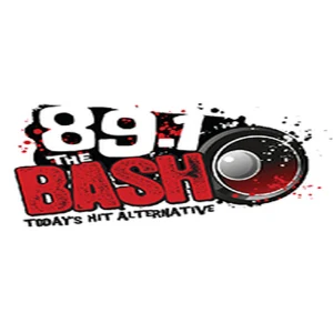 89.1 The Bash