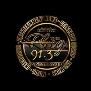 91.3 The Plug Radio