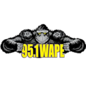 95.1 WAPE