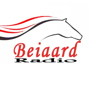 Beiaard Radio