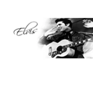 Elvis And Company