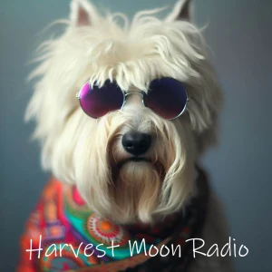 Harvest Moon Radio