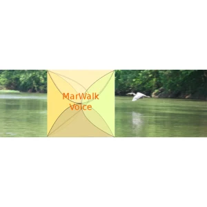 Issues Digest Audio Blog