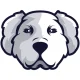 Mdog Radio