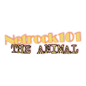 Netrock101