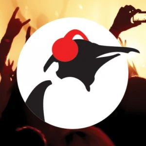 Pinguin On The Rocks