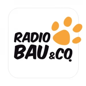 Radio Bau & Co