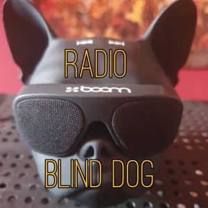 Radio Blind Dog