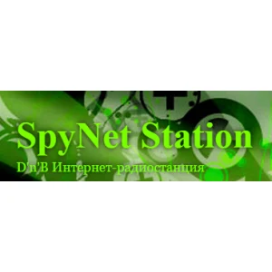 Spynet Station - The Main Flow