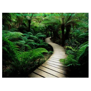 Super Flow Smooth Jazz & RnB Internet Station