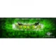 Trancebase.FM