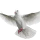 Vida en Cristo