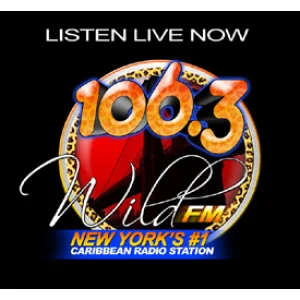 wild fm 106.3