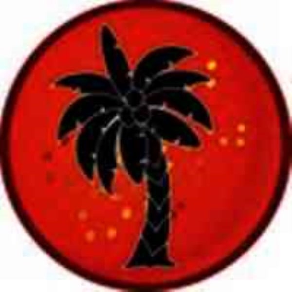 American Jazz Institute